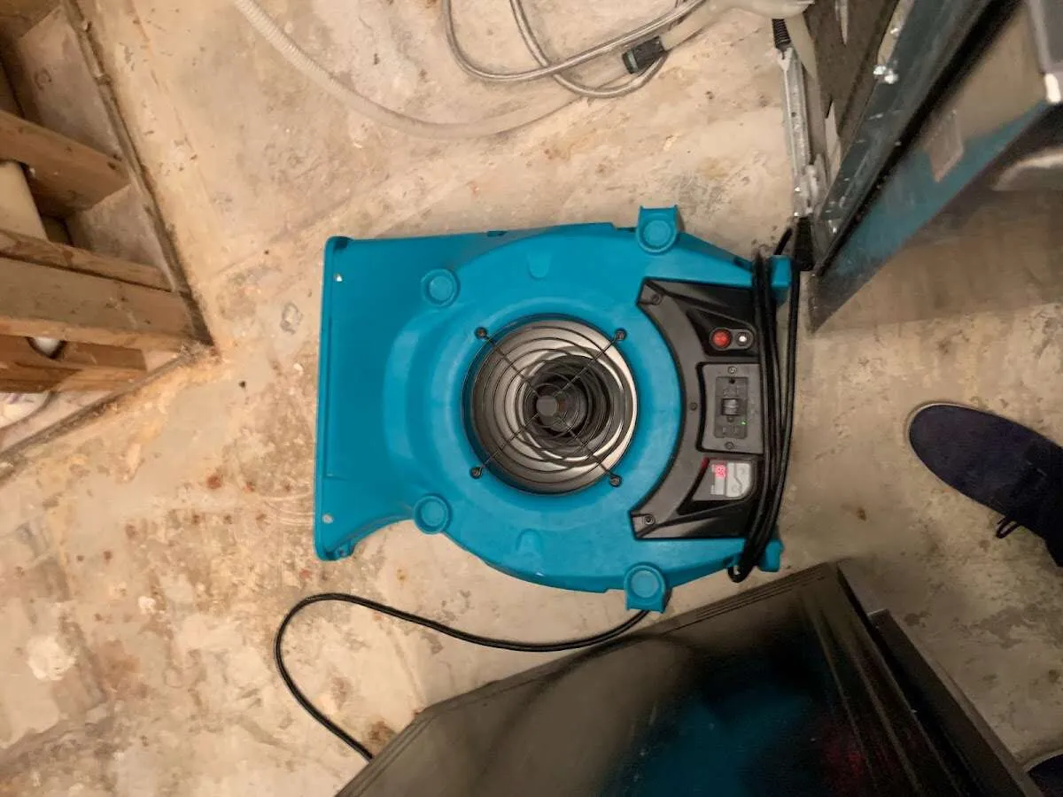 Air mover drying equipment for Mold Remediation & Removal in Antioch